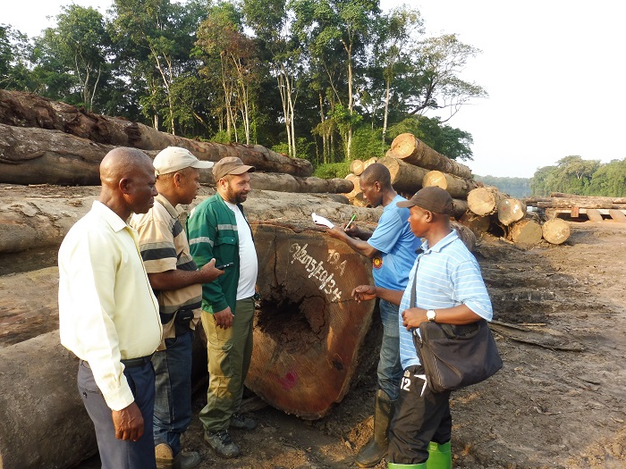 Photo: The joint monitoring missions are a new, more secure platform for communities to raise grievances related to illegal logging on their lands. Credit: GASHE