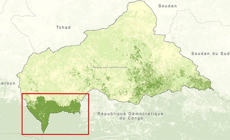 Carte : La quasi-totalité de la couverture forestière de la RCA est située dans le sud-ouest.