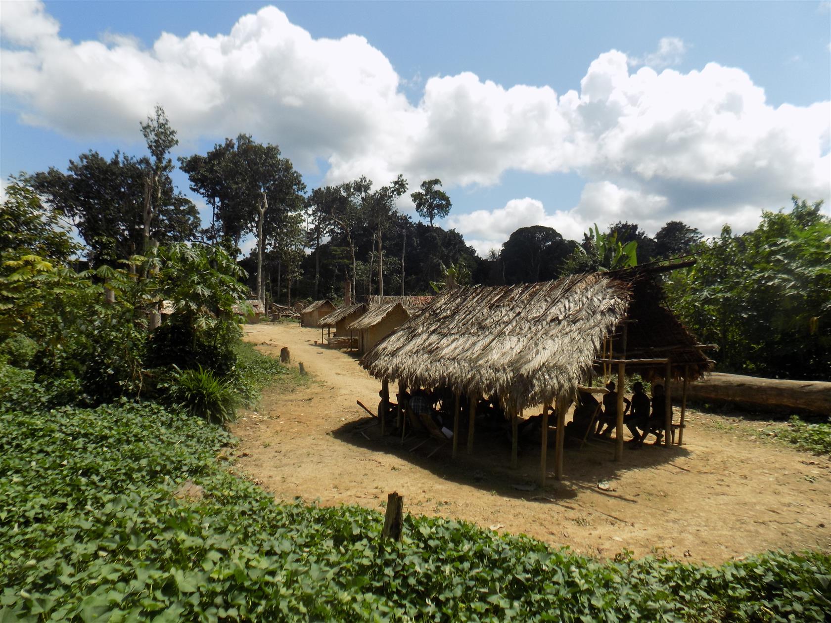 Vista de la comunidad de Bamasobha, en Kivu del Norte